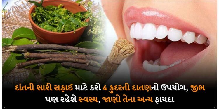 દાંતની સારી સફાઈ માટે કરો 4 કુદરતી દાતણનો ઉપયોગ, જીભ પણ રહેશે સ્વસ્થ, જાણો તેના અન્ય ફાયદા