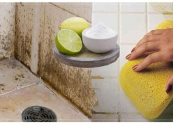 ગંદાથી ગંદા બાથરૂમના ખૂણા પણ ચમકી જશે, આ ઘરગથ્થુ ઉપચાર સામે હાર્પિક પણ નિષ્ફળ જાય છે