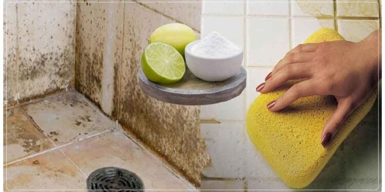 ગંદાથી ગંદા બાથરૂમના ખૂણા પણ ચમકી જશે, આ ઘરગથ્થુ ઉપચાર સામે હાર્પિક પણ નિષ્ફળ જાય છે