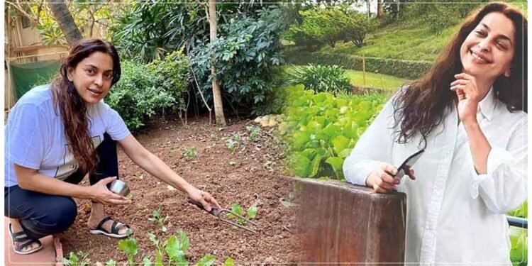 ફિલ્મોથી દુર હવે વિતાવી રહી છે સાદગી ભરેલું જીવન, જુહી ચાવલાએ શેર કરી ફાર્મહાઉસની તસ્વીરો