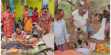 વૃદ્ધના મોત પર વાંદરો થયો ભાવુક, ક્યારેક માથું ટેકવ્યું તો ક્યારેક ફૂલ ચઢાવ્યા, જુઓ તસવીરો