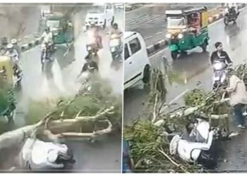 સ્કૂટી પર સવાર છોકરાઓ પર અચાનક પડી ઝાડની ભારે ડાળી, પછી શું થયું… વાયરલ વીડિયો જોઈને તમે પણ દંગ રહી જશો