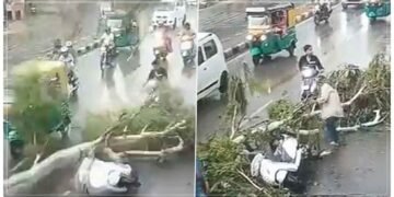સ્કૂટી પર સવાર છોકરાઓ પર અચાનક પડી ઝાડની ભારે ડાળી, પછી શું થયું… વાયરલ વીડિયો જોઈને તમે પણ દંગ રહી જશો