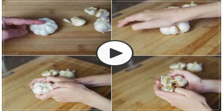 સેકન્ડમાં એક કિલો લસણને ફોલવાની સરળ રીત; વીડિયો જોઈને લોકોએ કહ્યું- ગજબ જુગાડ છે ભાઈ