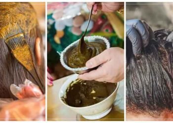 મહિનામાં કેટલી વાર અને કેટલા સમય સુધી વાળમાં મહેંદી લગાવવી જોઈએ, જાણો અહીં સાચી માહિતી