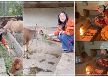 પ્રીતિ ઝિન્ટા વતન શિમલા પહોંચી, ચુલા પાર ખાવાનું બનાવ્યું અને ગાયોને ચારો ખવડાવતા વિડીઓ શેર કર્યો