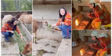 પ્રીતિ ઝિન્ટા વતન શિમલા પહોંચી, ચુલા પાર ખાવાનું બનાવ્યું અને ગાયોને ચારો ખવડાવતા વિડીઓ શેર કર્યો