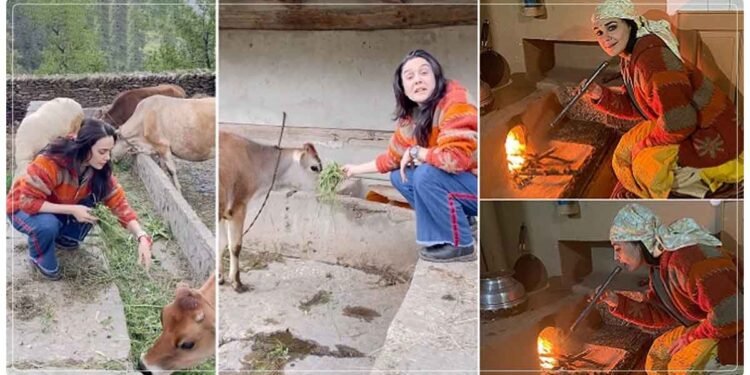 પ્રીતિ ઝિન્ટા વતન શિમલા પહોંચી, ચુલા પાર ખાવાનું બનાવ્યું અને ગાયોને ચારો ખવડાવતા વિડીઓ શેર કર્યો