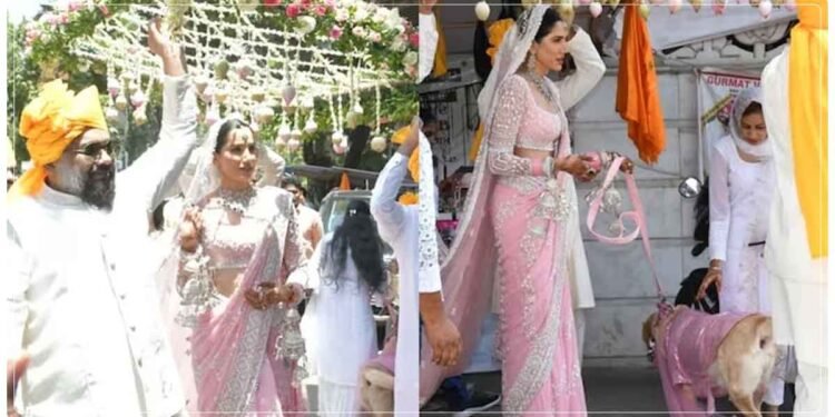 ‘પ્યાર કા પંચનામા’ ફેમ સોનાલી સેહગલે ગુપચુપ લગ્ન કર્યા, વર્ષોથી ચાલતું અફેર! જાણો કોણ છે વરરાજા?