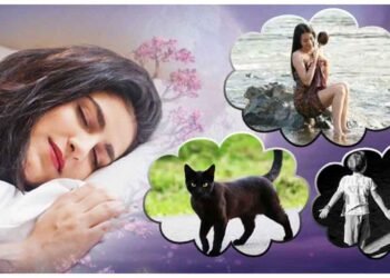 નહાતી સ્ત્રીથી લઈને કાળી બિલાડી સુધી, મૃત્યુના સંકેત આપે છે આ 5 સપના, જાણો કેવી રીતે ટાળી શકાય આ અપ્રિય ઘટના