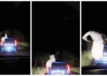 સુમસામ રસ્તા પર જોવા મળ્યું ડરામણું દ્રશ્ય, બે કાર વચ્ચે જે થયું તે જોઈ કેમેરામેને ચીસો પાડવા લાગ્યો. વિડિઓ જુઓ