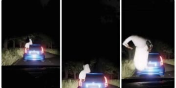 સુમસામ રસ્તા પર જોવા મળ્યું ડરામણું દ્રશ્ય, બે કાર વચ્ચે જે થયું તે જોઈ કેમેરામેને ચીસો પાડવા લાગ્યો. વિડિઓ જુઓ