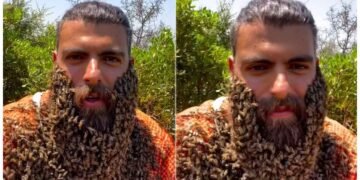 આ માણસની દાઢી નથી પણ મધમાખીનું મધપૂડો છે, વિશ્વાસ ન આવતો હોય તો જુઓ વીડિયો