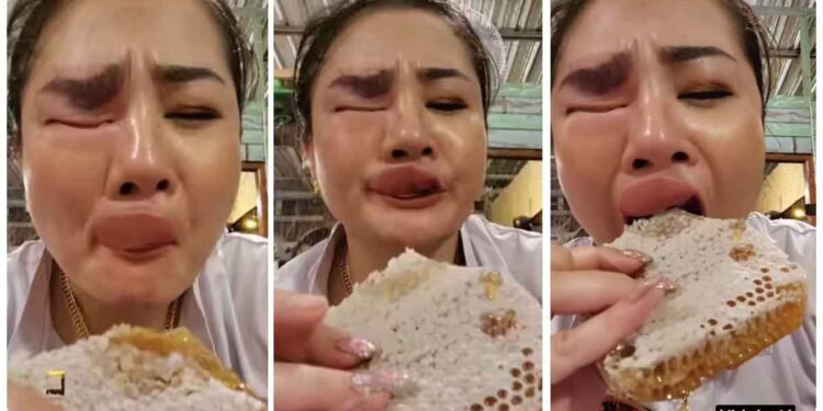 મહિલા મધપૂડામાંથી ચોરી કરેલું મધ ખાતી હતી, ત્યારે મધમાખીઓએ તેનો ચહેરો બગાડ્યો!