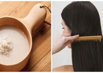 ચોખાના પાણીમાં આ બીજનો પાઉડર મિક્સ કરો, થોડા દિવસોમાં વાળનો ગ્રોથ જોઈને તમે આશ્ચર્યચકિત થઈ જશો, આ છે ઉપયોગ કરવાની રીત