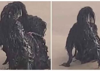 મહિલાએ બીચ પરથી શેર કર્યો ‘રાક્ષસ’નો વીડિયો! લોકો ડરી ગયા, પછી ખોલ્યું રહસ્ય