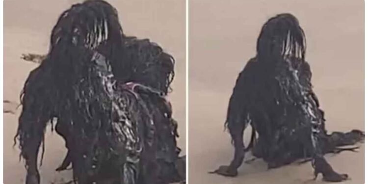 મહિલાએ બીચ પરથી શેર કર્યો ‘રાક્ષસ’નો વીડિયો! લોકો ડરી ગયા, પછી ખોલ્યું રહસ્ય