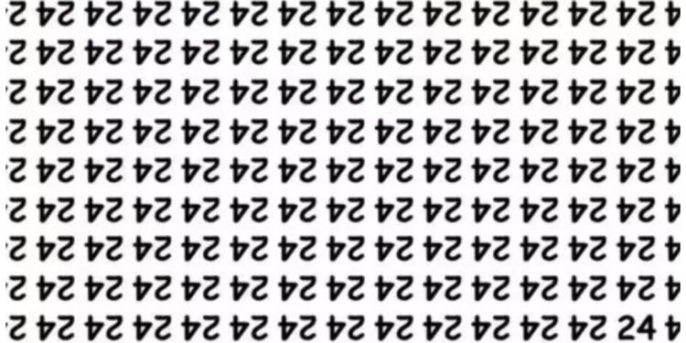 તમારે ફોટોમાંથી તમારે માત્ર 7 સેકન્ડમાં ’24’ શોધવાના છે, માત્ર બાજ નજરવાળા લોકો જ શોધી શકશે