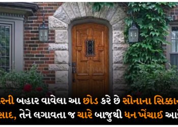 ઘરની બહાર વાવેલા આ છોડ કરે છે સોનાના સિક્કાનો વરસાદ, તેને લગાવતા જ ચારે બાજુથી ધન ખેંચાઈ આવે છે