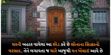 ઘરની બહાર વાવેલા આ છોડ કરે છે સોનાના સિક્કાનો વરસાદ, તેને લગાવતા જ ચારે બાજુથી ધન ખેંચાઈ આવે છે