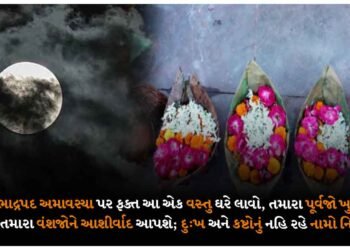 આજે ભાદ્રપદ અમાવસ્યા પર, ફક્ત આ એક વસ્તુ ઘરે લાવો, તમારા પૂર્વજો ખુશ થશે અને તમારા વંશજોને આશીર્વાદ આપશે; દુ:ખ અને કષ્ટોનું નહિ રહે નામો નિશાન