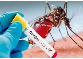 ડેન્ગ્યુ દર્દીઓના પ્લેટલેટ કાઉન્ટ ઘટાડે છે આ 5 ખોરાક, ભૂલથી પણ ના કરો સેવન