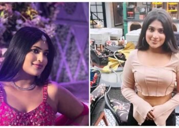 આ કોઈ હિરોઈન નથી, આ IAS ઓફિસર કોઈ મોડલથી ઓછા નથી, તને જાતે જ જોઈ લો