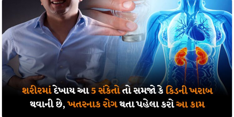 શરીરમાં દેખાય આ 5 સંકેતો તો સમજો કે કિડની ખરાબ થવાની છે, ખતરનાક રોગ થતા પહેલા કરો આ કામ