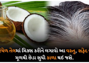નારિયેળ તેલમાં મિક્સ કરીને લગાવો આ વસ્તુ, સફેદ વાળ મૂળથી છેડા સુધી કાળા થઈ જશે.
