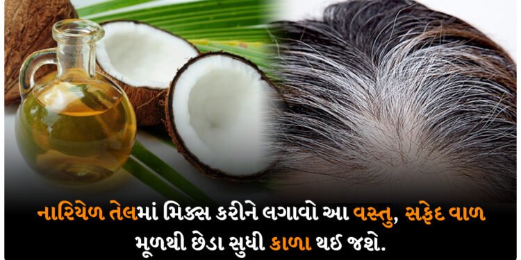નારિયેળ તેલમાં મિક્સ કરીને લગાવો આ વસ્તુ, સફેદ વાળ મૂળથી છેડા સુધી કાળા થઈ જશે.