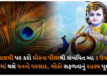જન્માષ્ટમી પર કરો મોરના પીંછાથી સંબંધિત આ 3 ઉપાય, ઘરમાં થશે ધનનો વરસાદ લોકો સફળતાનું રહસ્ય પૂછશે