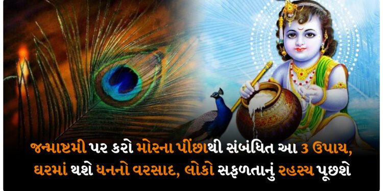 જન્માષ્ટમી પર કરો મોરના પીંછાથી સંબંધિત આ 3 ઉપાય, ઘરમાં થશે ધનનો વરસાદ લોકો સફળતાનું રહસ્ય પૂછશે