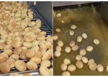 ફેક્ટરીમાં આ રીતે બનાવવામાં આવી રહી છે પકોડી, વીડિયો વાયરલ થયો અને લોકો ચોંકી ગયા.