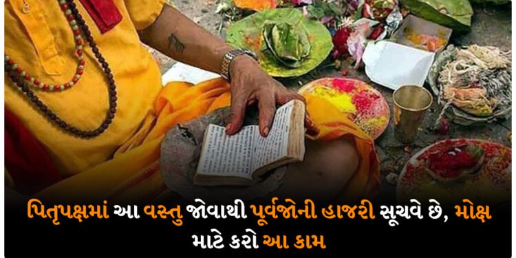 પિતૃપક્ષમાં આ વસ્તુ જોવાથી પૂર્વજોની હાજરી સૂચવે છે, મોક્ષ માટે કરો આ કામ