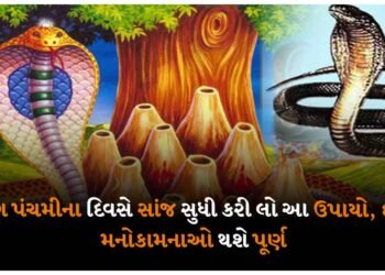 નાગ પંચમીના દિવસે સાંજ સુધી કરી લો આ ઉપાયો, દરેક મનોકામનાઓ થશે પૂર્ણ
