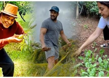 સલમાન ખાનથી લઈને નાના પાટેકર સુધી જ્યારે આ કલાકારો ખેતરોમાં ખેતી કરતા જોવા મળ્યા હતા