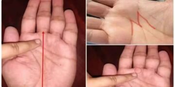 હથેળી પરના આ નિશાન ખૂબ જ અશુભ માનવામાં આવે છે, વ્યક્તિને આર્થિક મુશ્કેલીઓ અને કરિયરમાં વારંવાર નિષ્ફળતાનો સામનો કરવો પડે છે.