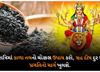 નવરાત્રિમાં કાળા તલનો ચોક્કસ ઉપાય કરો, ગ્રહ દોષ દૂર થશે, પ્રગતિનો માર્ગ ખુલશે.