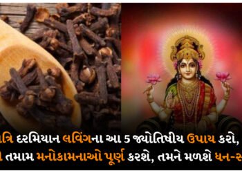 નવરાત્રિ દરમિયાન લવિંગના આ 5 જ્યોતિષીય ઉપાય કરો, માતા રાણી કરશે તમામ મનોકામનાઓ, તમને મળશે ધન-સંપત્તિ.