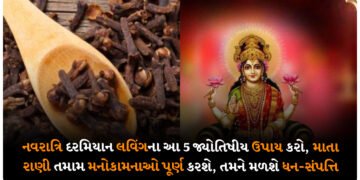 નવરાત્રિ દરમિયાન લવિંગના આ 5 જ્યોતિષીય ઉપાય કરો, માતા રાણી કરશે તમામ મનોકામનાઓ, તમને મળશે ધન-સંપત્તિ.