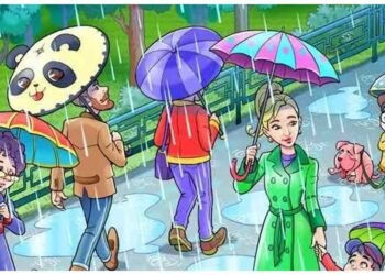 આ ફોટો માંથી તમારે માત્ર 7 સેકન્ડમાં દેડકાને શોધવાનો છે, શું તમે તેને પૂર્ણ કરી શકશો?