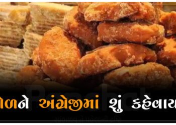 99% લોકોને ખબર નથી કે અંગ્રેજીમાં ‘ગોળ’ને શું કહેવાય છે…