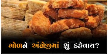 99% લોકોને ખબર નથી કે અંગ્રેજીમાં ‘ગોળ’ને શું કહેવાય છે…