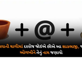 જમવાની થાળીમાં દરરોજ જોઈએ છીએ આ શાકભાજી, જરા ઓળખીને તેનું નામ જણાવો, મમ્મીઓ માટે તો ડાબા હાથની વાત છે