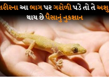 જો શરીરના આ ભાગ પર ગરોળી પડે તો તે અશુભ છે, થાય છે પૈસાનું નુકશાન
