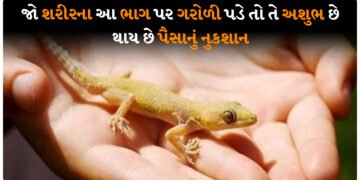 જો શરીરના આ ભાગ પર ગરોળી પડે તો તે અશુભ છે, થાય છે પૈસાનું નુકશાન