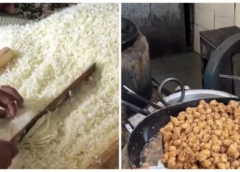 જો તમે મંચુરિયન ખાવાના શોખીન છો તો આ વીડિયો ચોક્કસ જુઓ, તમે બહારનું મંચુરિયન ખાવાનું છોડી દેશો.