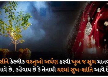 તુલસીને કેટલીક વસ્તુઓ અર્પણ કરવી ખૂબ જ શુભ માનવામાં આવે છે, કહેવાય છે કે તેનાથી ઘરમાં સુખ-શાંતિ આવે છે.