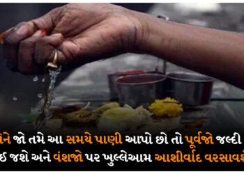 પૂર્વજોને જો તમે આ સમયે પાણી આપો છો તો પૂર્વજો જલ્દી સંતુષ્ટ થઈ જશે અને વંશજો પર ખુલ્લેઆમ આશીર્વાદ વરસાવશે.