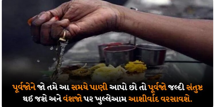 પૂર્વજોને જો તમે આ સમયે પાણી આપો છો તો પૂર્વજો જલ્દી સંતુષ્ટ થઈ જશે અને વંશજો પર ખુલ્લેઆમ આશીર્વાદ વરસાવશે.